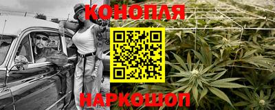 гашик Гай