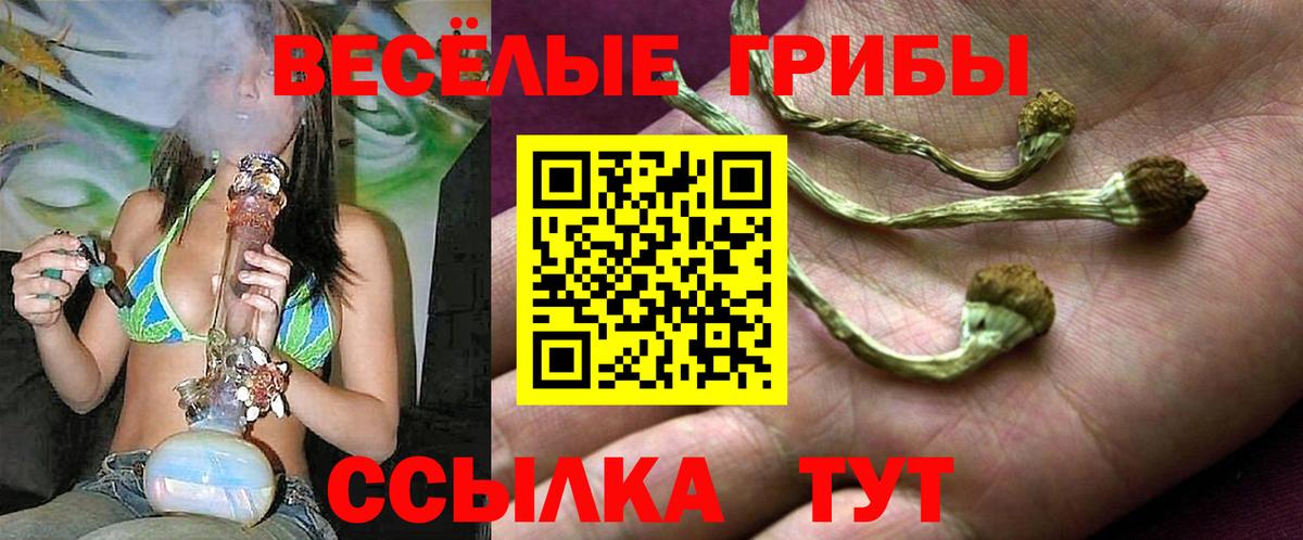 Галлюциногенные грибы GOLDEN TEACHER Можайск